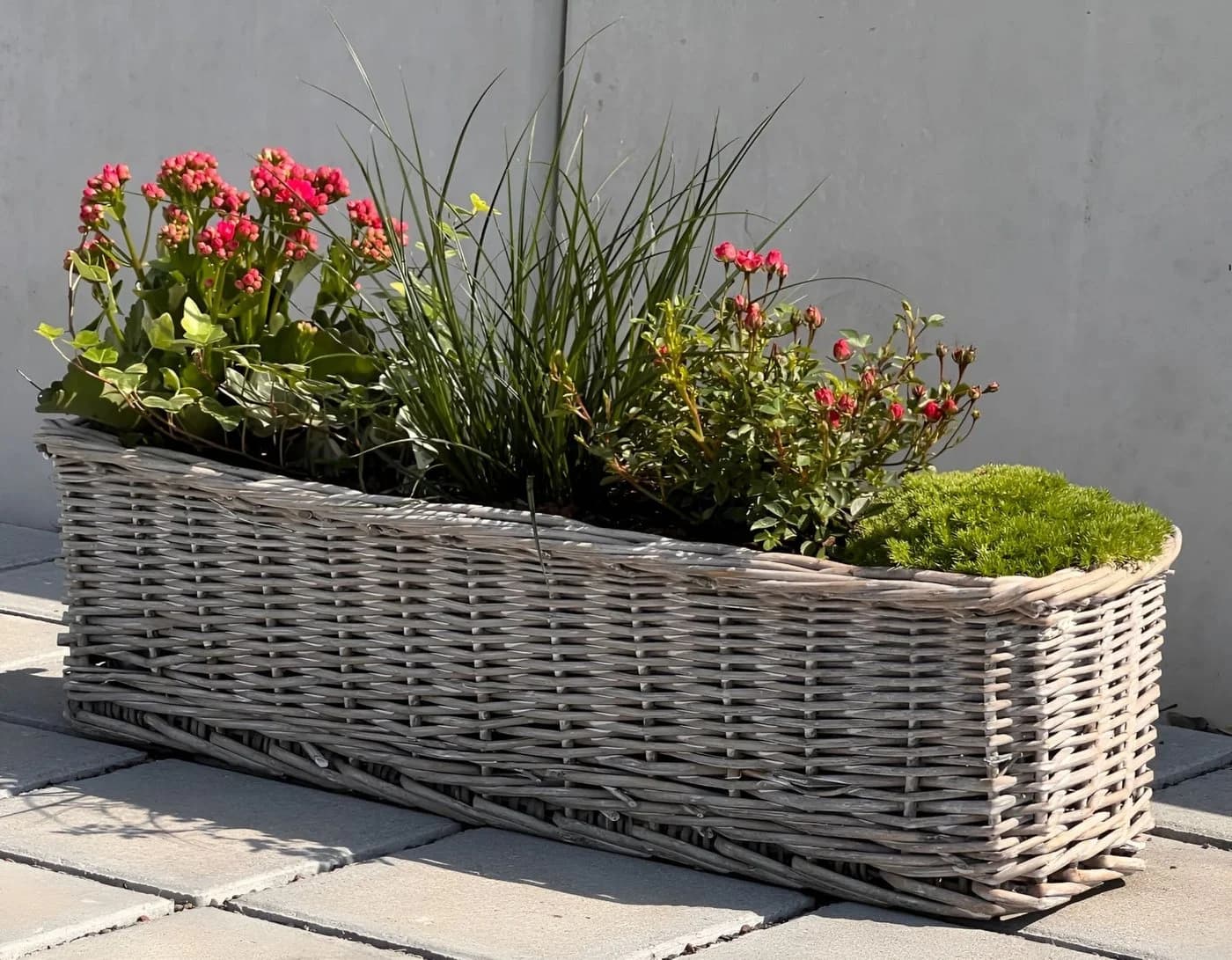 Dekoleidenschaft Blumenkasten Rattan Koboo Grau 60 cm - Bild 5