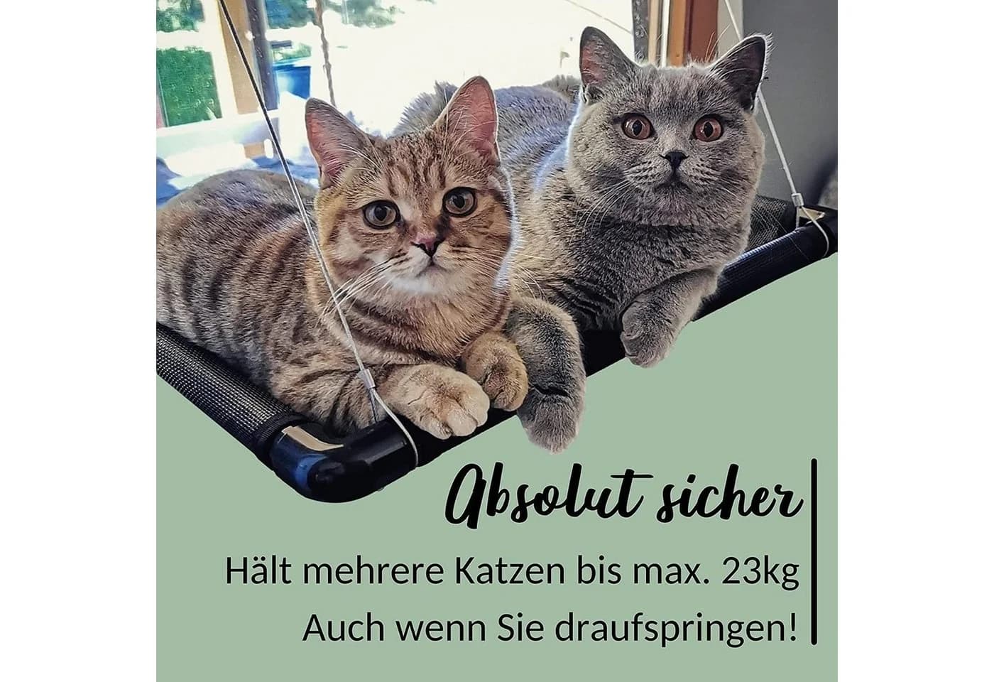 riijk Katzen-Hängematte Mausblick Fensterliege Kunststoff