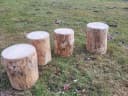Kistenkolli Allzweckkiste Holzstamm Sitzhocker Rustikal Bild 1