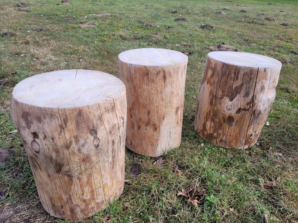 Kistenkolli Allzweckkiste Holzstamm Sitzhocker Rustikal - Bild 3