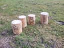 Kistenkolli Allzweckkiste Holzstamm Sitzhocker Rustikal Bild 4