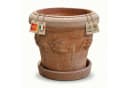 Teramico Blumentopf Terrakotta Limone mit Untersetzer 26cm Bild 2