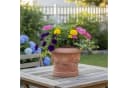 Teramico Blumentopf Terrakotta Limone mit Untersetzer 26cm Bild 5