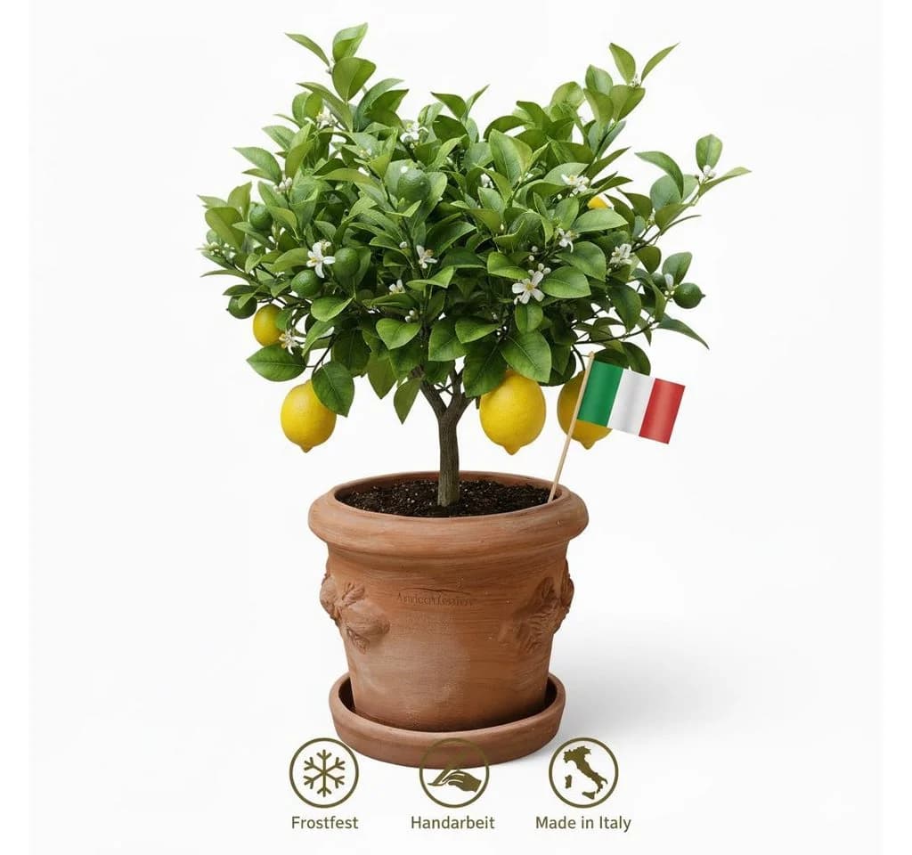 Teramico Blumentopf Terrakotta Limoni Toscana 30 mit Teller - Bild 2