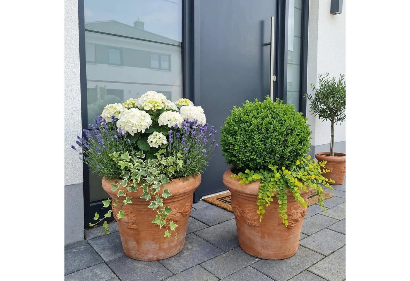 Teramico Terrakotta Blumentopf Limone Handgefertigt Frostfest - Bild 5
