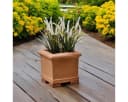 Teramico Pflanzkübel Terrakotta Modell "Cubo Liscio" 25cm frostfest Bild 4