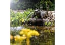 esotec Wasserspeier Solar Komplettset Frosch liegend Bild 2