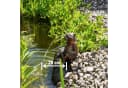 esotec Wasserspeier Teich-Figur Froschpaar Polyresin Bild 1