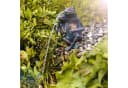 esotec Wasserspeier Teich-Figur Froschpaar Polyresin Bild 3