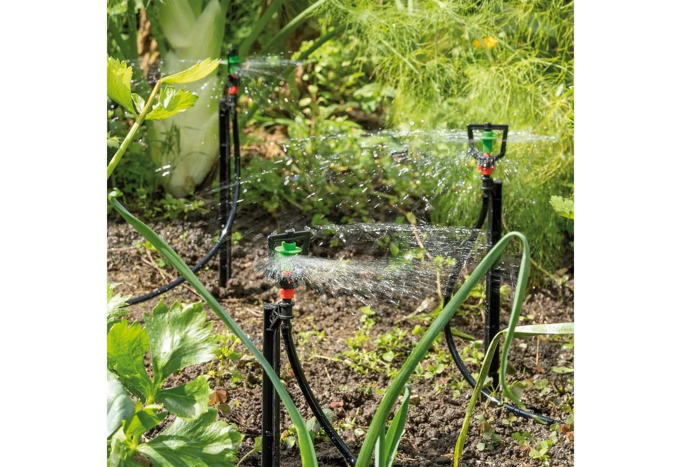 esotec Solar Bewässerungsset WaterSprinkle Professional mit 6 Sprinklern - Bild 4
