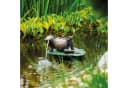 esotec Wasserspeier Frosch auf Seerosenblatt mit Schlauch Bild 5