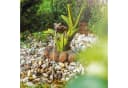 esotec Solar Wasserspeier Frosch Komplettset mit Pumpe Bild 2