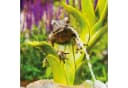 esotec Solar Wasserspeier Frosch Komplettset mit Pumpe Bild 5