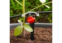 esotec Solar Tröpfchenbewässerung Waterdrops 20 Tropfer Komplettset Bild 3