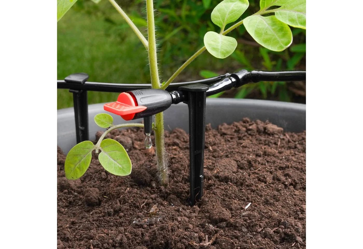 esotec Solar Tröpfchenbewässerung Waterdrops 20 Tropfer Komplettset - Bild 4