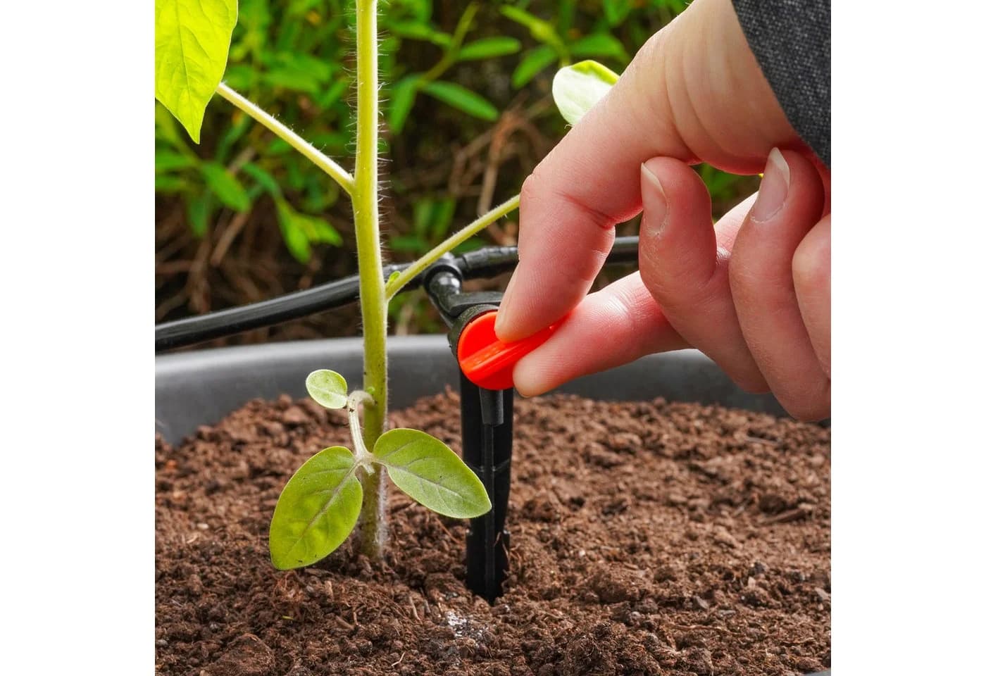 esotec Solar Tröpfchenbewässerung Waterdrops 20 Tropfer Komplettset - Bild 5