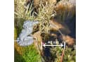 esotec Wasserspeier Seepferdchen Ida Grau Polyresin Bild 1