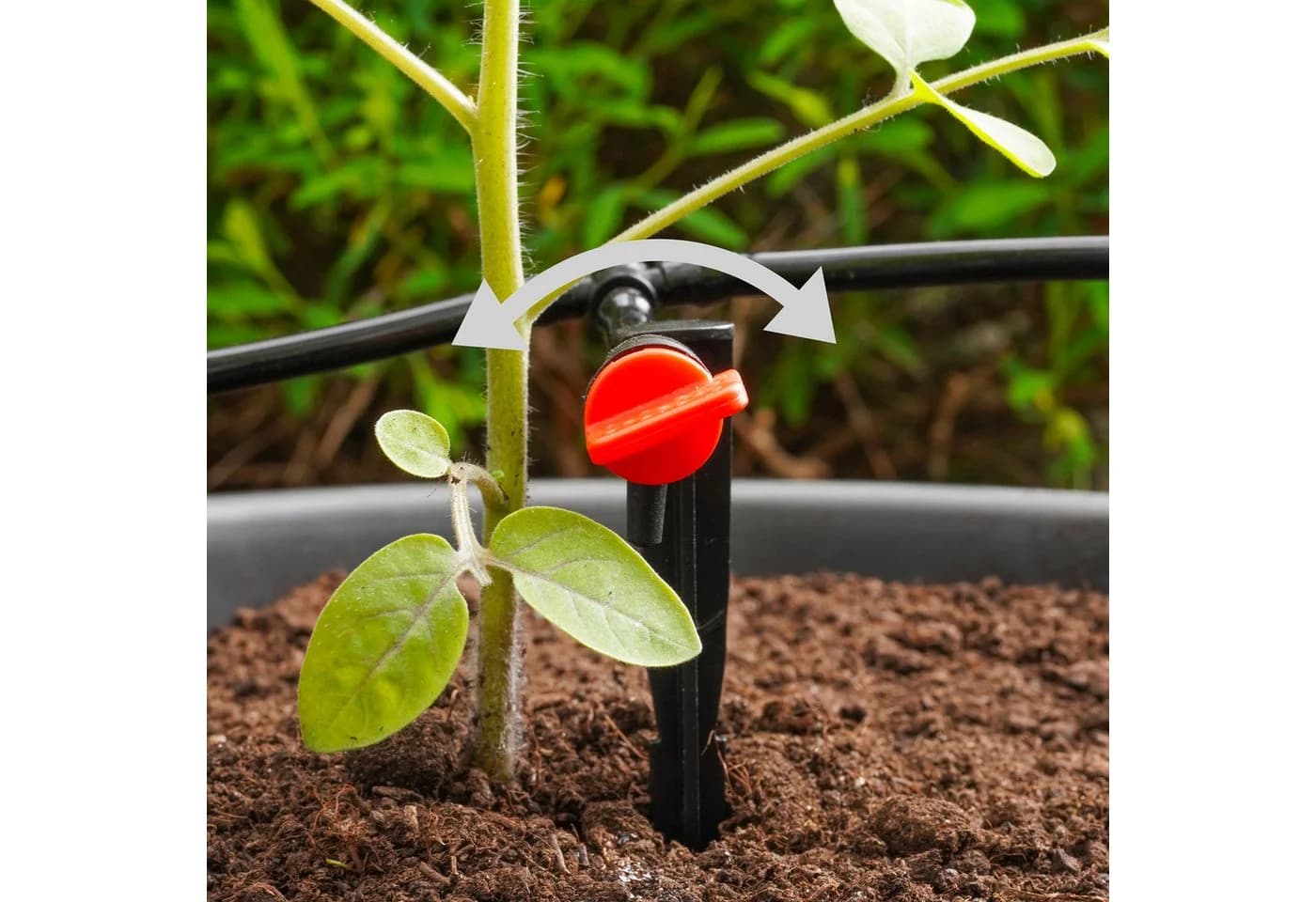 esotec Solar Bewässerungssystem WaterDrops 50 mit 50 Tropfern Grau
