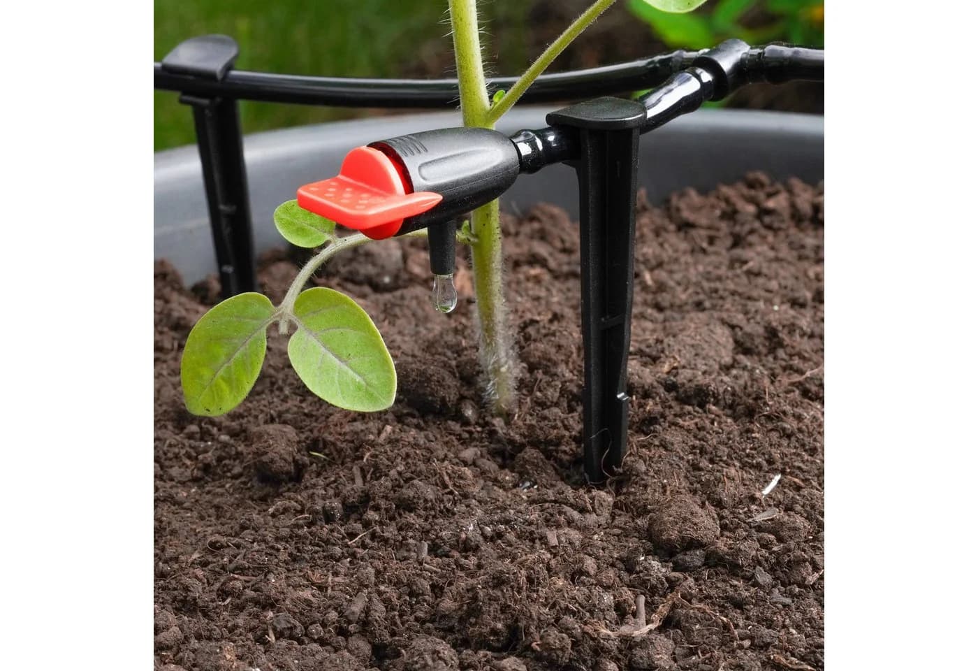 esotec Solar Bewässerungssystem WaterDrops 50 mit 50 Tropfern Grau - Bild 3