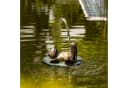 esotec Solar Wasserspeier Treibender Frosch mit Pumpe Bild 2