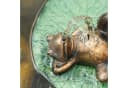 esotec Solar Wasserspeier Treibender Frosch mit Pumpe Bild 5