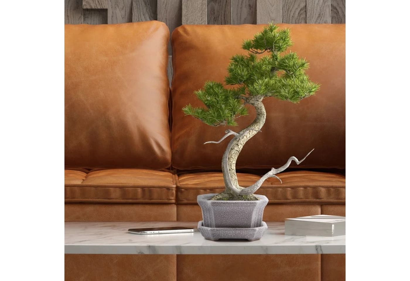 HappySeed Bonsai Schale Grau Keramik mit Untersetzer - Bild 4
