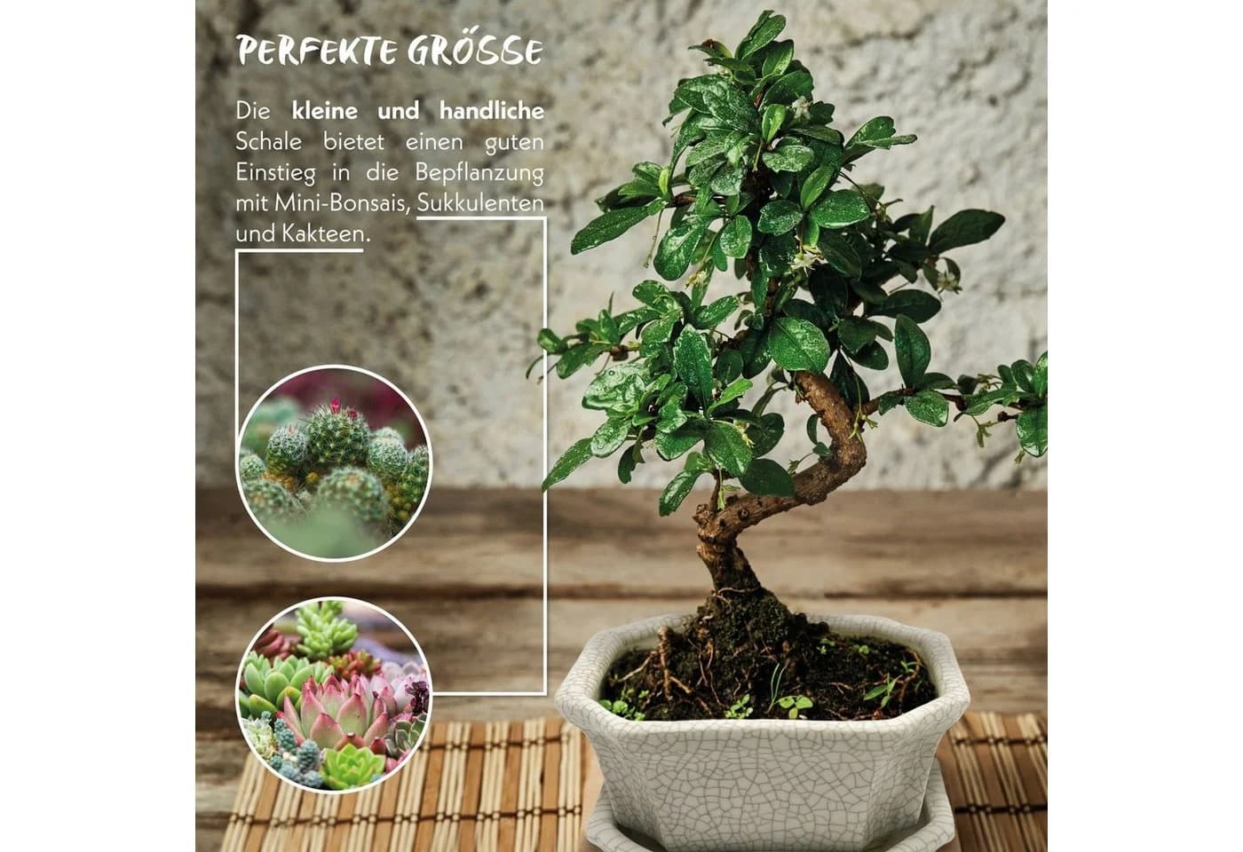 HappySeed Bonsai Schale Grau Keramik mit Untersetzer - Bild 5