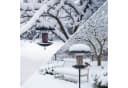 Die Bold GmbH Vogelhaus Picky Edelstahl Bild 5