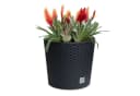 astor24 Blumentopf Rattan-Optik Anthrazit mit Wasserüberlauf Bild 1