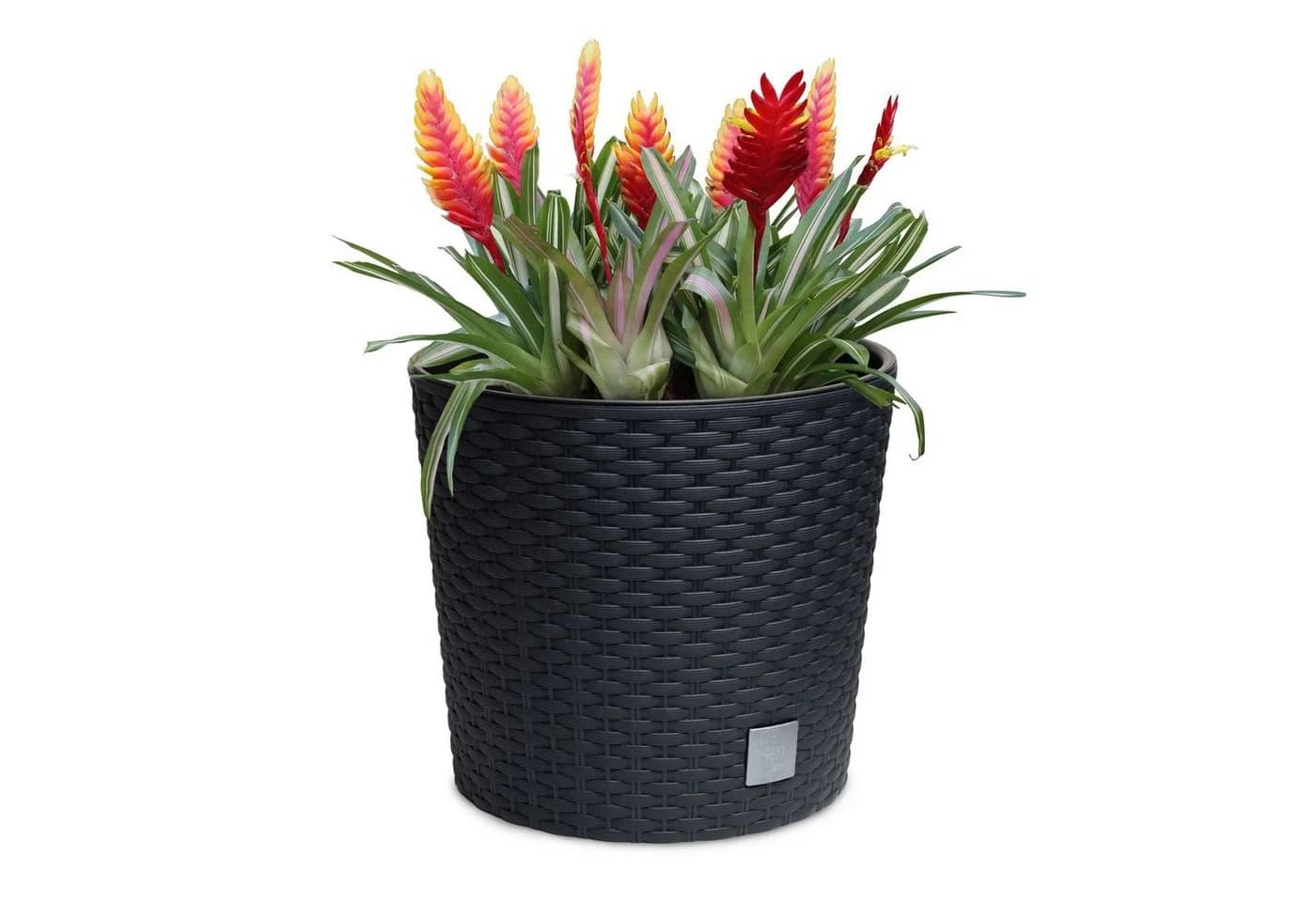 astor24 Blumentopf Rattan-Optik Anthrazit mit Wasserüberlauf