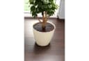HAC24 Blumentopfgitter Kunststoff Set 2 St. Ø 30 cm Pflanzenschutz Bild 3