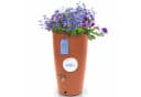 YourCasa Regentonne 240 Liter Messing Wasserhahn & Deckel Regenfass Bild 2