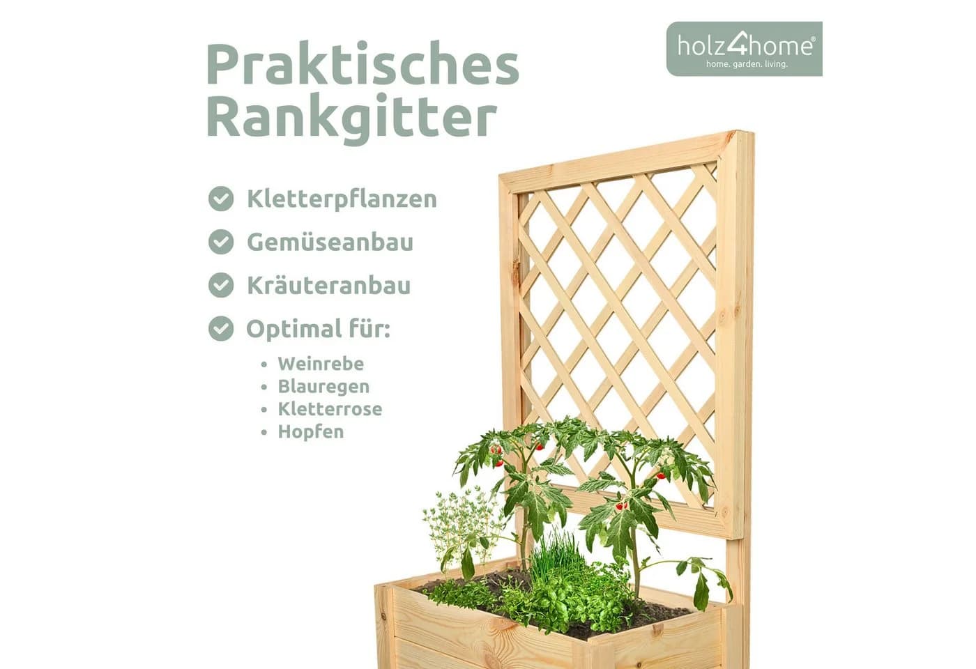 holz4home® Blumenkasten mit Rankgitter aus Kiefernholz inkl. Handschuhe - Bild 3