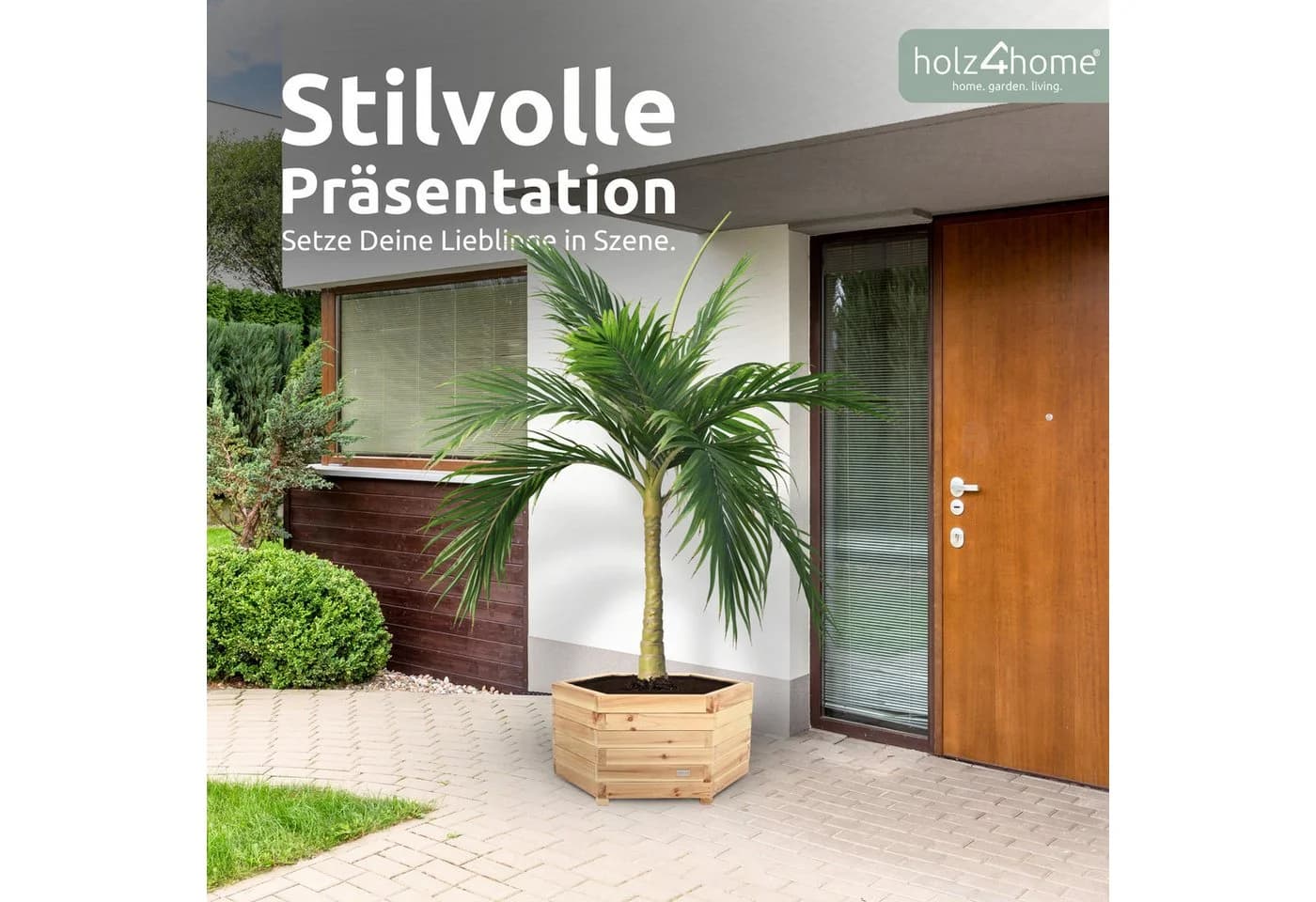 holz4home® Pflanzkübel 6-eckig Tannenholz 3er Set Outdoor Indoor