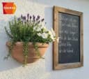 Teramico Blumentopf Wandhänger Terrakotta 41cm Frostfest Bild 5