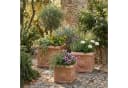 Teramico Blumentopf Terrakotta Cubo Rosone 30cm frostfest Bild 3