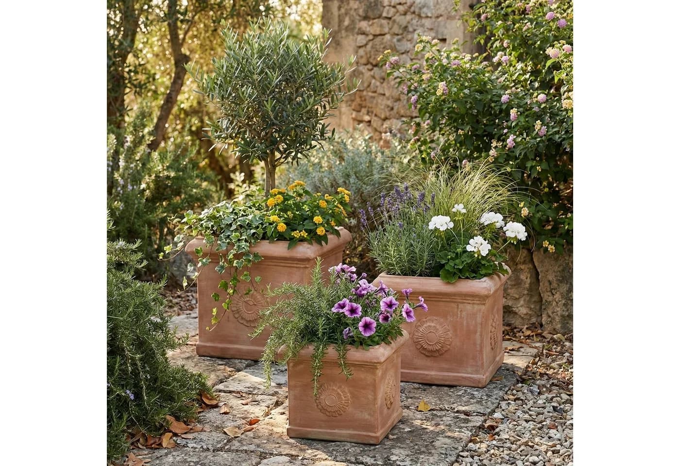 Teramico Blumentopf Terrakotta Cubo Rosone 30cm frostfest - Bild 3