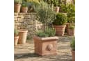 Teramico Blumentopf Terrakotta Cubo Rosone 30cm frostfest Bild 4
