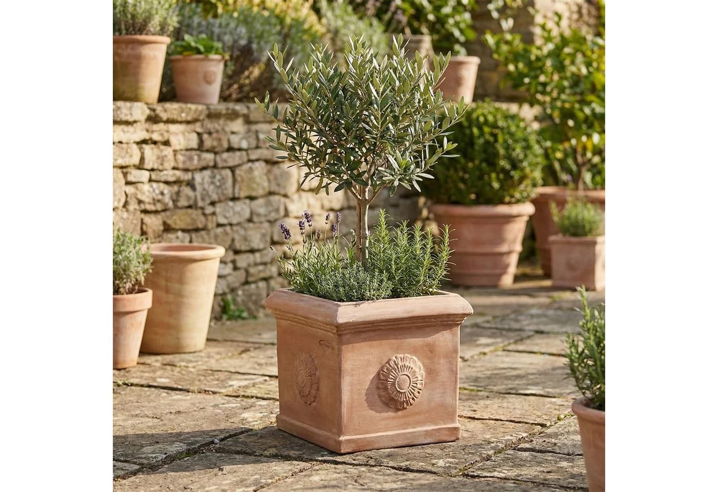 Teramico Blumentopf Terrakotta Cubo Rosone 30cm frostfest - Bild 4
