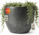 Teramico Blumentopf Egg Pot Anthrazit Frostfest Bild 2