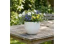 Teramico Blumentopf EGG-POT Keramik Weiß Ø 21 cm frostfest Bild 1