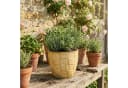 Teramico Blumentopf Egg Pot Bronzo Ø 21 cm Bild 1
