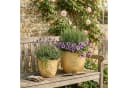 Teramico Blumentopf Egg Pot Bronzo Ø 21 cm Bild 3