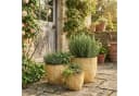 Teramico Blumentopf Egg Pot Bronzo Ø 21 cm Bild 4