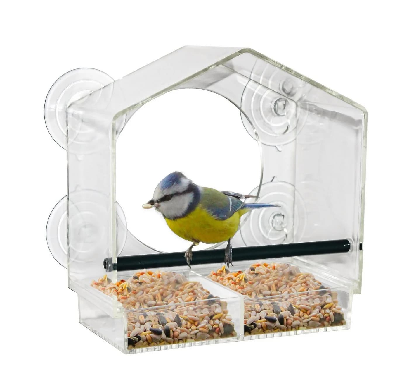 Spetebo Transparentes Fenster-Vogelhaus mit Saugnäpfen und Sitzstange - Bild 2