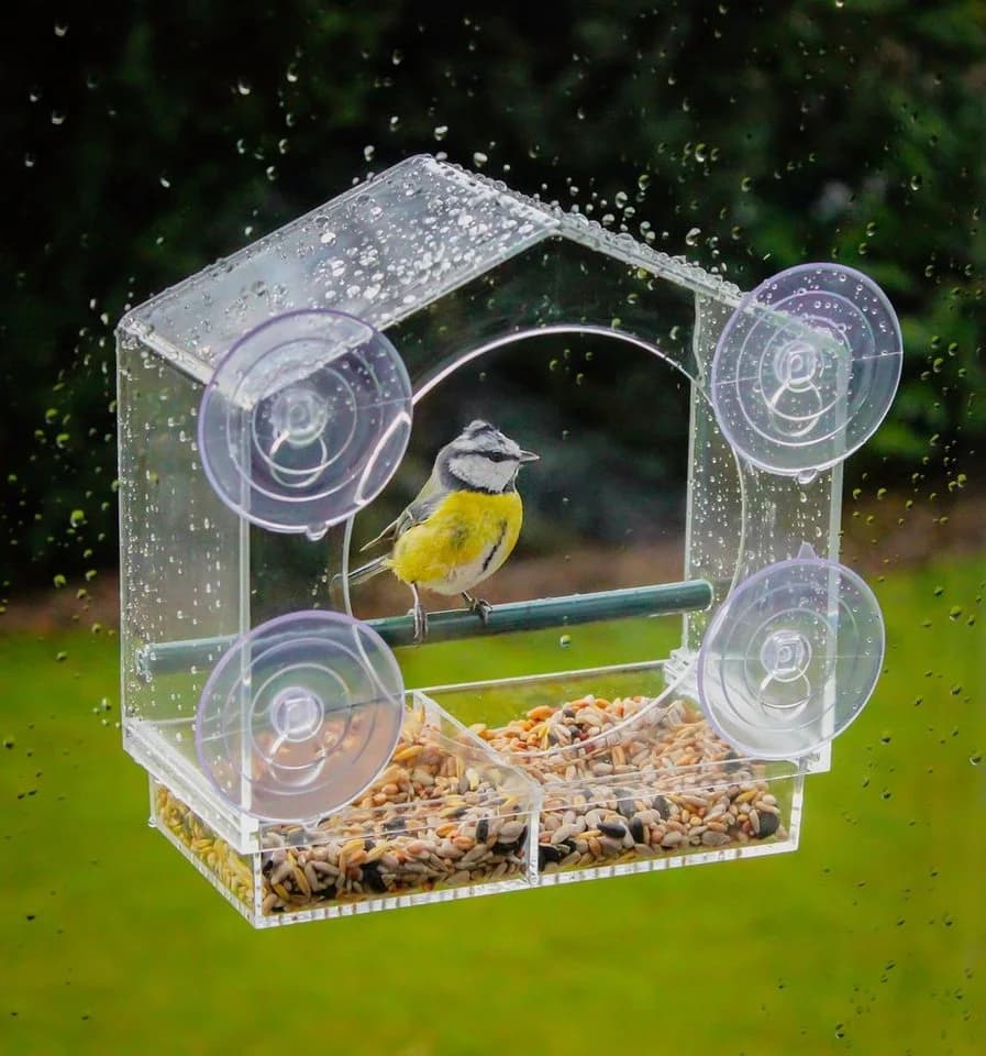 Spetebo Transparentes Fenster-Vogelhaus mit Saugnäpfen und Sitzstange - Bild 3