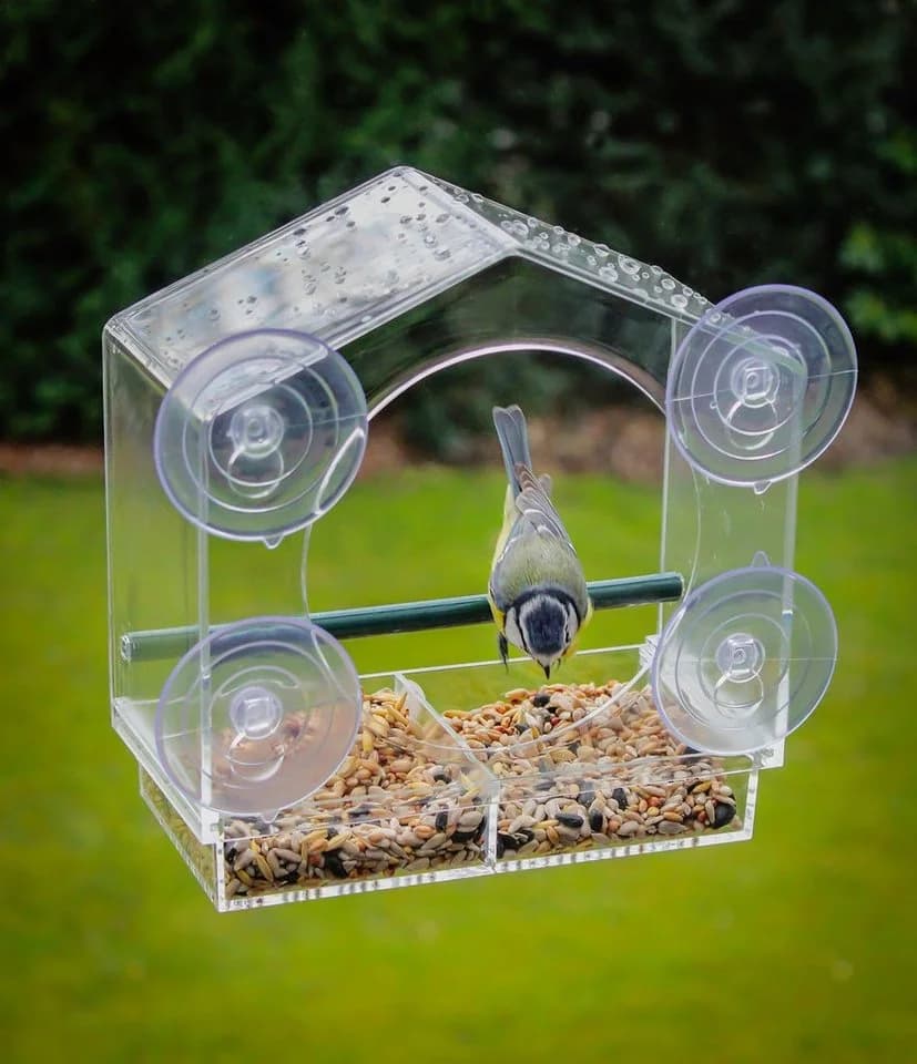Spetebo Transparentes Fenster-Vogelhaus mit Saugnäpfen und Sitzstange - Bild 4