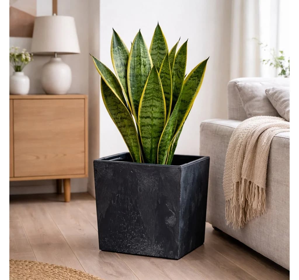 KAGM Pflanzkübel 2er Set Modern Anthrazit Steinoptik Kunststoff