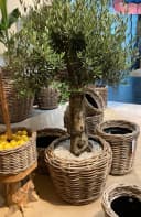 Van der Leeden Blumentopf 130L Pflanzkorb Rattan 83x59cm Drypot Bild 4