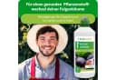 Purgrün Bio-Feigendünger Flüssigdünger NPK 4+1+7 Algenextrakt Vinasse 1 Liter Bild 1